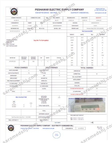 PAKISTAN PESHAWAR ELECTRIC SUPPLY COMPANY utility bill Word and PDF template
